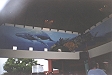 Habitat Bar Mural 2