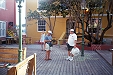 'Working It' in the Courtyard behind the West Indies Bar