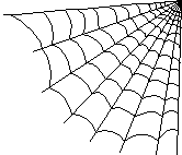 Web