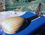 The rear of the lute