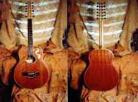 12 String guitar