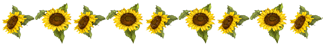 sunflower rule