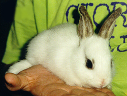 �n�� Stanley Chi ���i��J�i�R�ߥJ�m�f�f�n