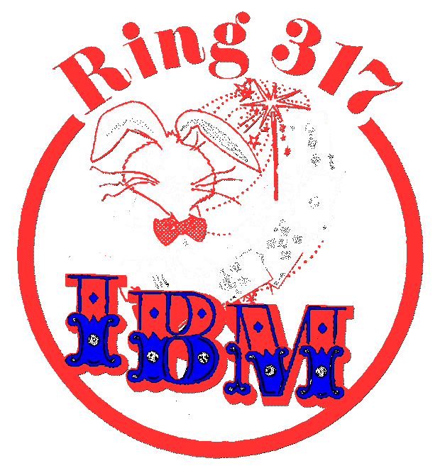 IBM Ring 317 Logo