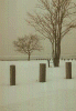 snow.gif (87496 bytes)