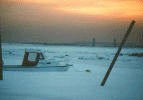 stranded.gif (140670 bytes)