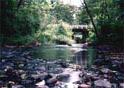 Creek.JPG (14710 bytes)