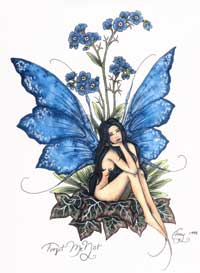 The Forget-Me-Not Fairy