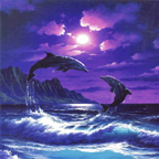 Dizzie Dolphins of the Moonlit Sea