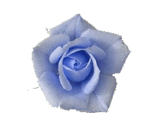 Blue Rose