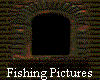  Fishing Pictures 