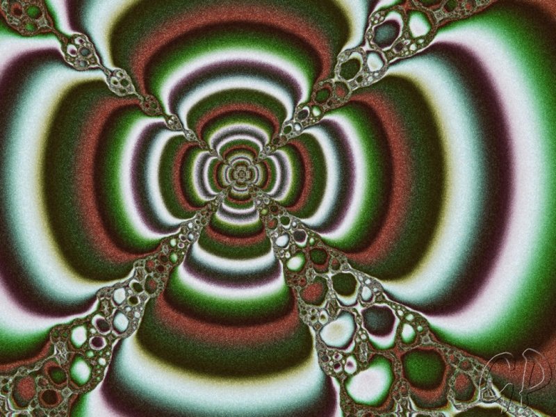 Image 49 of 58  -  132 kB