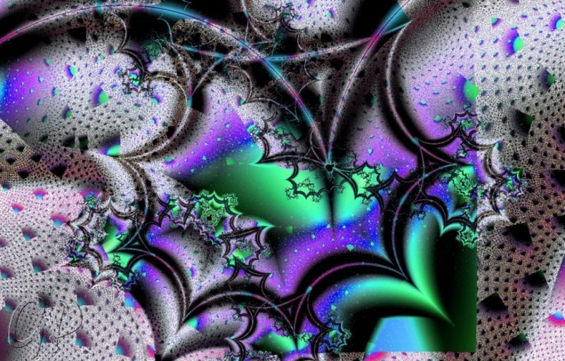 Image 20 of 21  -  146 kB