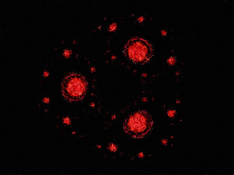 Image 13 of 24  -  43 kB