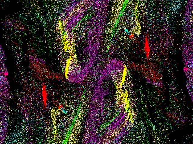 Image 22 of 24  -  239 kB