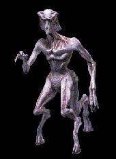 An example of species 8472