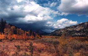 Montana meadow in the fall