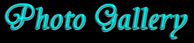 t2-gallery.gif (5966 bytes)