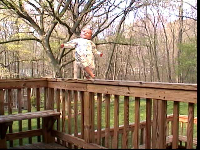 ChewieBalance.jpg (95679 bytes)