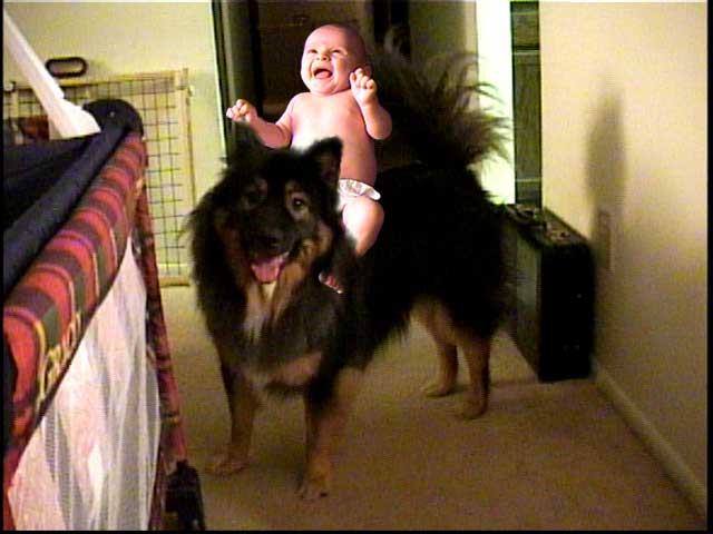 dogboy.jpg (31139 bytes)