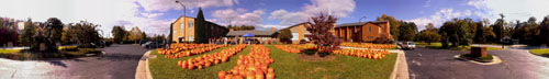 Pumpkin Patch 360  Panoramic