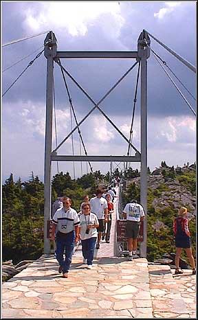 Bridge2Web.jpg (38928 bytes)