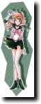 SailorJupiter on a green background