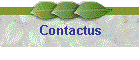 Contactus