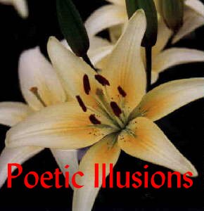 Poetic Illusions