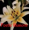 Return to Poetic Illusions