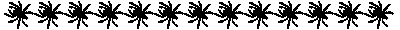 spiderbar.GIF (1135 bytes)