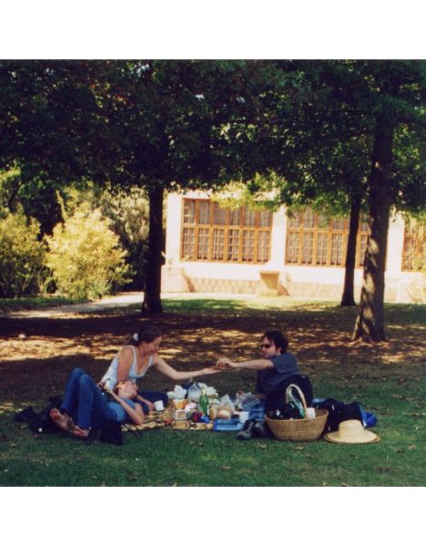 picnic