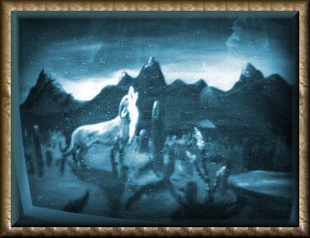 Coyote Call in the night