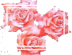 Roses of Utena