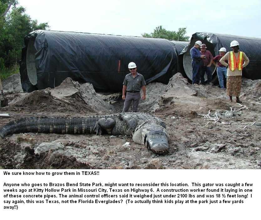 That would make a nice suitcase!