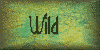 Wild Tiles