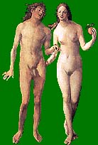 The original nudists -- Adam and Eve from the bestselling book, The Bible.