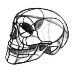 Skull1